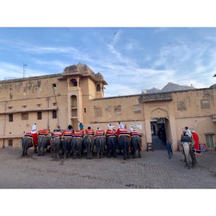 2020年1月24日
#インド　#アンベール城　
象さんが一列に綺麗に並ぶ 🐘 お尻可愛い ☺︎