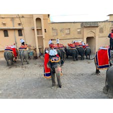 2020年1月24日　
#インド　#アンベール城
一番乗り！ シンさんさすが ☺︎