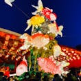 長崎県長崎市　湊公園
ランタンフェスティバル

いろんなランタンが沢山あり綺麗でした。
中国獅子舞では、息子が可愛いを連発して魅入ってました