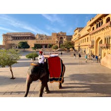 2020年1月24日
#インド　#アンベール城
つきましたー！ 朝日が入ってすごく綺麗 ☻