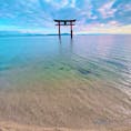 白髭神社⛩

琵琶湖の水も綺麗でした‼️
