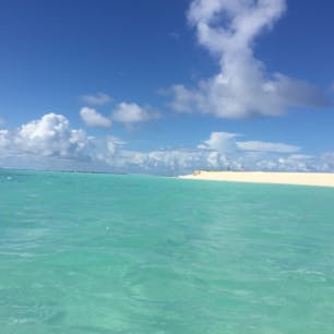 サイパン＊マニャガハ島

こんなに綺麗な海でアクティビティしたり、ぼーっとお昼寝したり最高でしかなかった。