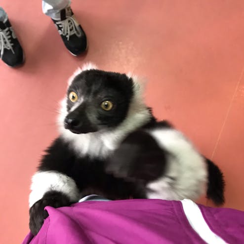 那須ワールドモンキーパーク