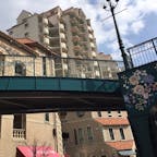 花のみち
#201803 #s兵庫