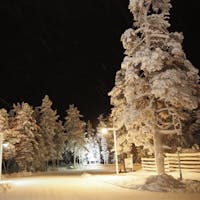 #フィンランド
#サーリセルカ