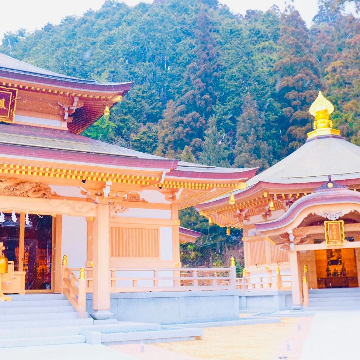 高野山別格本山 清浄心院の投稿写真 感想 みどころ 和歌山県 高野山 丹生院 トリップノート 高野山別格本山 清浄心院の投稿写真 感想 みどころ 和歌山県 高野山 丹生院 トリップノート