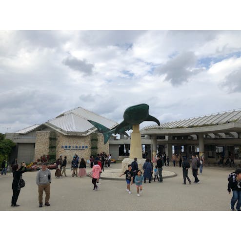 沖縄美ら海水族館