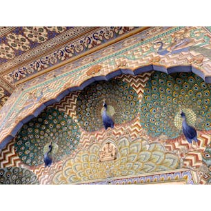 2020年1月24日 #インド #シティパレス
孔雀！色づかいがGOOD ☻