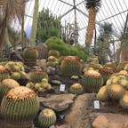 静岡県___2020.2.15

伊豆シャボテン動物公園(伊東市)