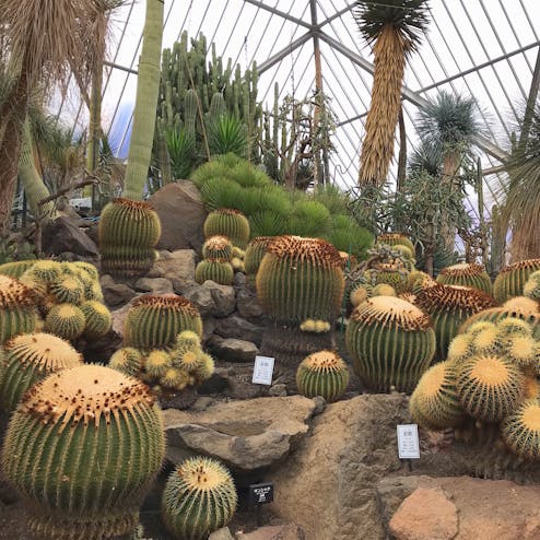 伊豆シャボテン動物公園