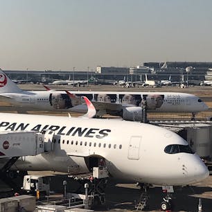 【2020・如月】
羽田空港にて嵐JETを嗜む。