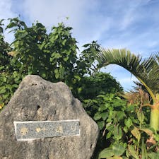 【2020・睦月】
与論島にて小さな幸せを嗜む。