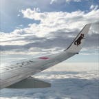 【2020・睦月】
上空にてイリオモテヤマネコの翼（JTA）を嗜む。