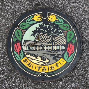 乗っけるの忘れてた昔撮った大泉のまんほ　群馬　チューリップの縁取り