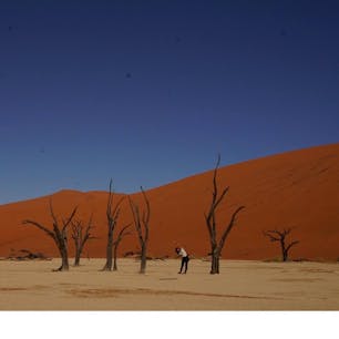 #ナミビア
デッドフレイ
死の沼からこんにちは。
ナミブ砂漠