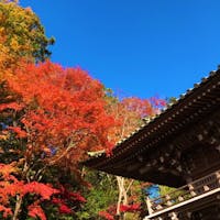 @東京都八王子市
Hachioji, Tokyo met.
高尾山
Mt.Takao
昨年紅葉の時期に行ってきました。
赤が非常に映え、関東の晴天とマッチ。
#高尾山 #東京 #紅葉
(2019/11/29)