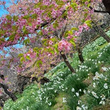 東京　新宿御苑