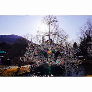 ❏神奈川県箱根町

✍︎箱根ガラスの森美術館

2020.2.8-9