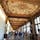 2019年９月
フィレンツェのウフィツィ美術館です

海外の美術館は天井も素晴らしいです