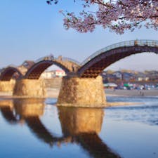 #錦帯橋
桜の吹く橋🌸
