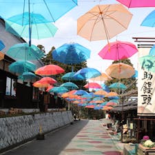 ゆのくにの森
#石川 #加賀 #ゆのくにの森 #傘
