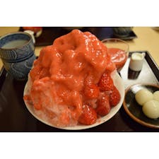 二條若狭屋　京都本店🍧

今まで食べたカキ氷の中で1番美味しかった…
ボリュームあるのに氷はシュッと口の中で
無くなって難なく完食…。

温かいお茶がついているのも嬉しい。

苺以外にも種類がいくつかあった気がします💡

#カキ氷 #京都カキ氷