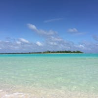 パラオ*カヤンゲル
奥に見える島がカヤンゲル島。
ここまで来るのに強風、荒波を越えまくった。
引き返さないと行けない場合も多いらしく、ここまで来れただけでもよかった。