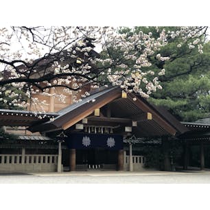 名古屋市　熱田神宮
梅がきれいに咲いてました🌸

#名古屋
#熱田神宮