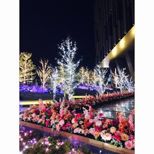 #大名古屋ビルヂング
#スカイガーデン
#イルミネーション