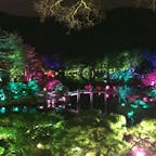 チームラボ@夜の栗林公園