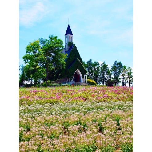 ひるがの高原 牧歌の里