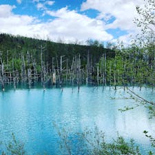 青い池
空も池も綺麗なブルー。