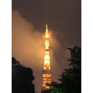 ＃TokyoTower
雨だった|ω･`)