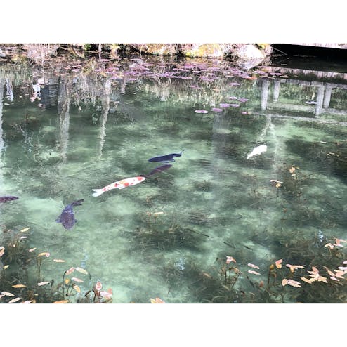 モネの池・根道神社