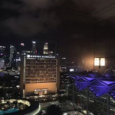 【2019・文月】
シンガポール にて光の絶景を嗜む。（ホテルビュー）