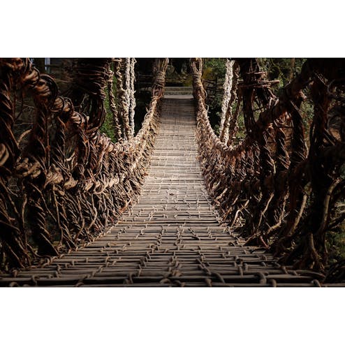 祖谷のかずら橋