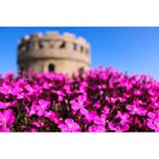 愛媛県
〜松山総合公園〜
展望所にヨーロッパ風の建物があります。