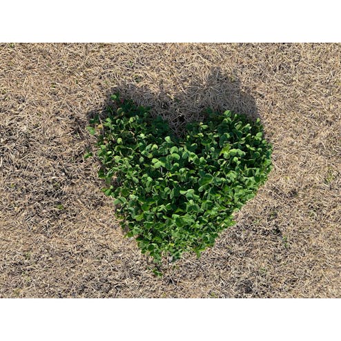 道の駅 小豆島オリーブ公園