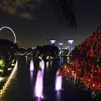 【2019・文月】
シンガポール にて光の絶景を嗜む。（ガーデンズビュー）