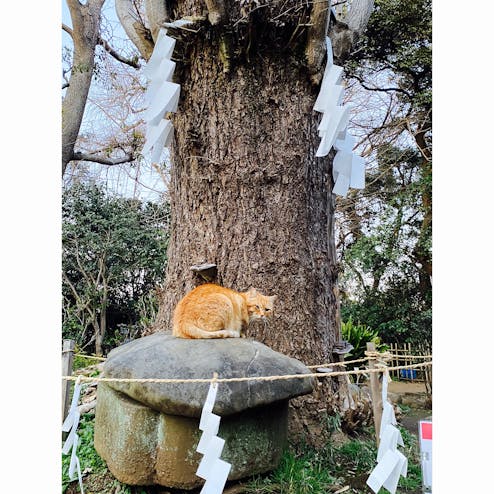 江島神社 奥津宮