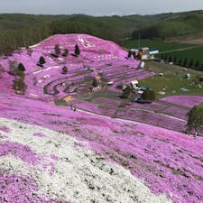 【2019・皐月】
北海道東にて季節の絶景を嗜む。

ひがしもこと芝桜公園
