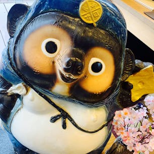 甲南SAの信楽たぬきさん。
桜が似合う(^^)