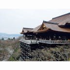【京都】清水寺

コロナの影響か、行った時間が良かったのか(8時くらい)
なかなかに空いてた清水寺。

#京都°
#2020/02/29