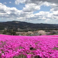 【2019・卯月】
福島県平田村にて花の絶景を嗜む。

ジュピアランドひらた