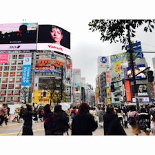 スクランブル交差点
よくテレビで観るスクランブル交差点。
奥の方に109が見えました。