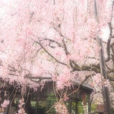 京都 水火天満宮