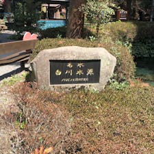 南阿蘇の白川水源にて😄
この水で焼酎呑んだら
うまかろな😋😋😋