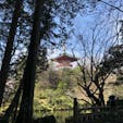 【千葉・成田】成田山新勝寺
広大な土地に荘厳な建物がたくさんありました。特に最上部の「平和大堂」にある、五大明王と曼陀羅には目を奪われます。成田山公園には桜が咲いていて、穏やかな一日を過ごしました。