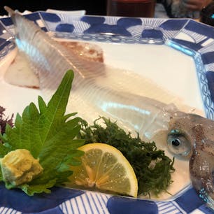 呼子のいか　萬坊