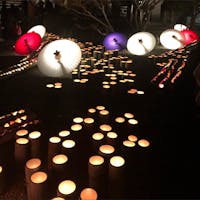 熊本　山鹿百華百彩